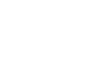 silver-alliance-blanc